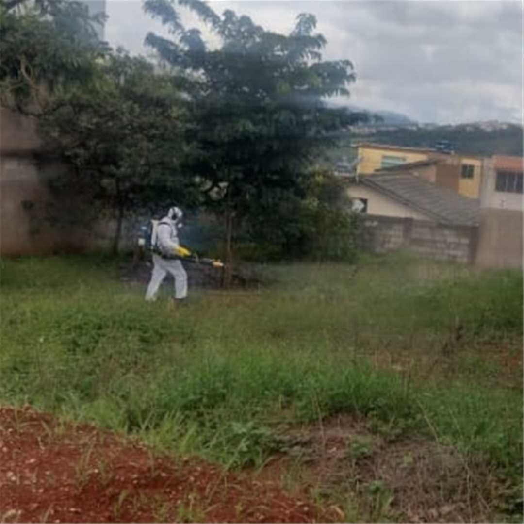 Prefeitura Municipal De Ouro Branco Contra A Dengue Ouro Branco